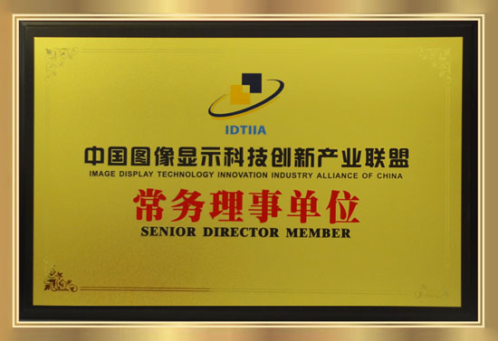 中國圖像顯示科技創(chuàng)新產(chǎn)業(yè)聯(lián)盟